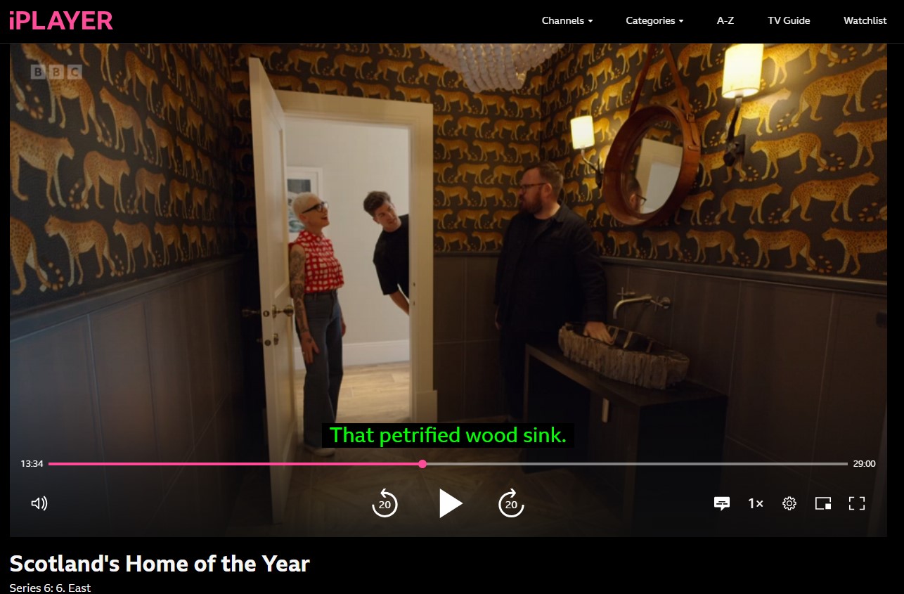 Lapicida Petrified Wood Bowl featured on BBC Scotland's Home of the Year